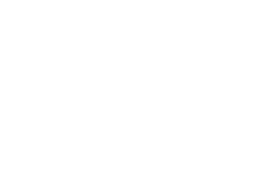 shaping-new-tomorrow-logo-white.png